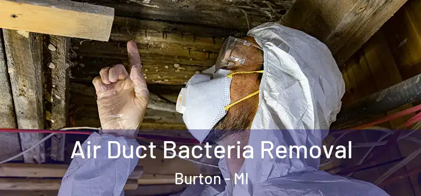 Air Duct Bacteria Removal Burton - MI