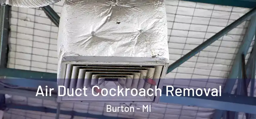  Air Duct Cockroach Removal Burton - MI