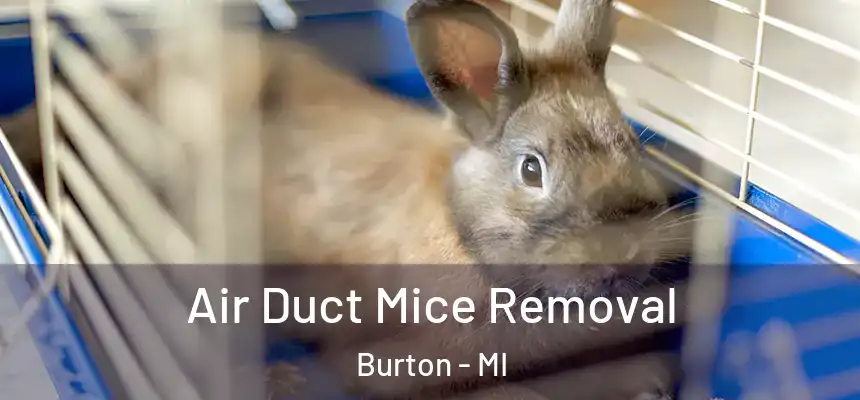  Air Duct Mice Removal Burton - MI