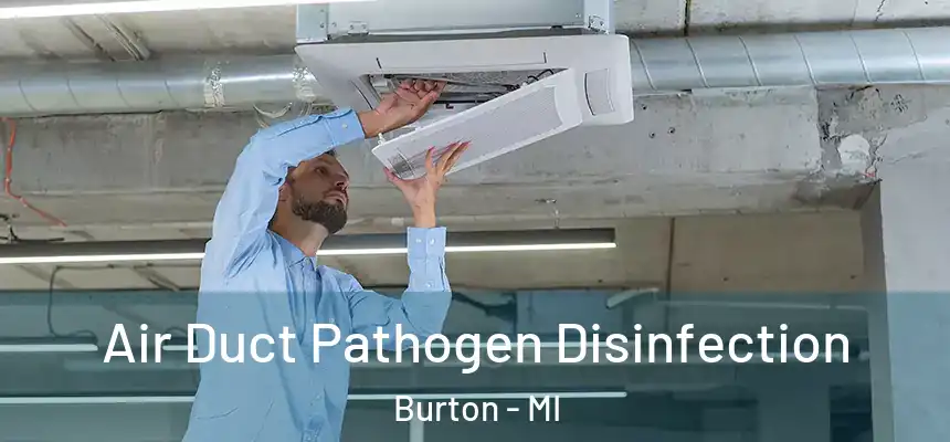 Air Duct Pathogen Disinfection Burton - MI