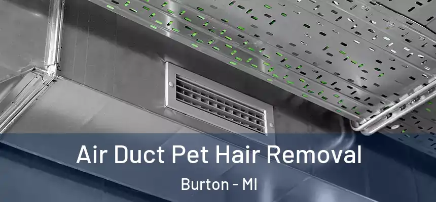 Air Duct Pet Hair Removal Burton - MI
