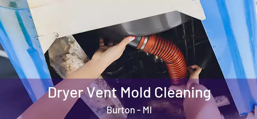  Dryer Vent Mold Cleaning Burton - MI