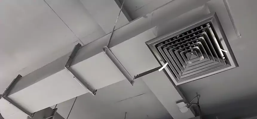 Our Pest Removal From Ducts Services in Burton, MI