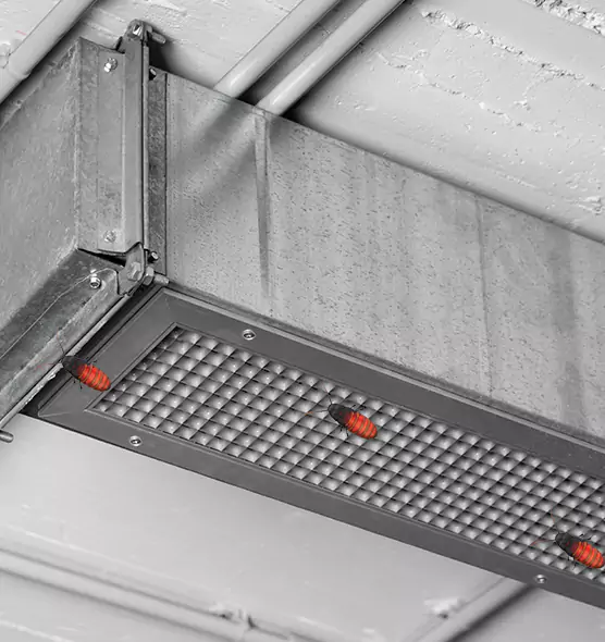 About Air Duct Cockroach Removal in Burton, MI