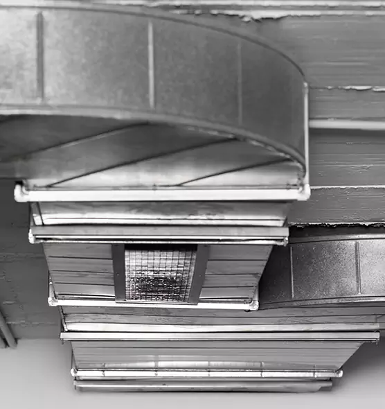 Professional Air Duct Pest Removal in Burton, MI