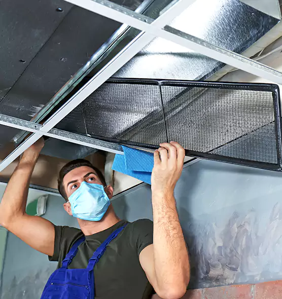 Professional Air Duct Pollen Cleaning in Burton, MI