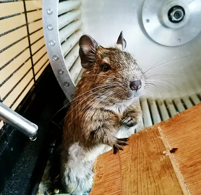 Why Homeowners & Businesses Trust Us Burton, MI