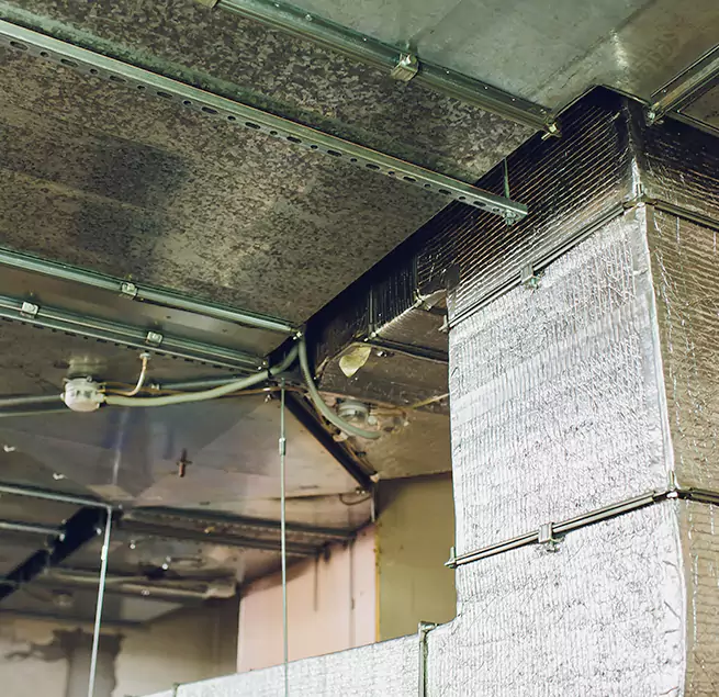 Why Homeowners & Businesses Trust Us in Burton, MI?